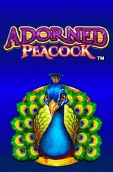 Adorned Peacock