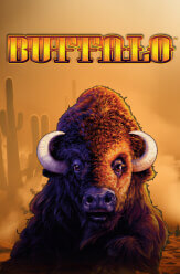 Buffalo