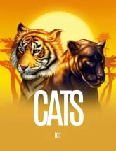 cats slot machine