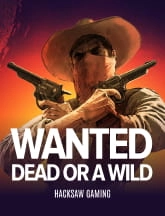 Wanted Dead or a Wild