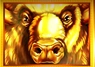 buffalo symbol