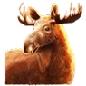 moose sumbol