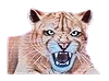 mountain lion symbol