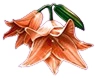 red flower symbol