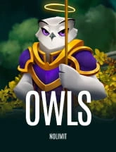 Owls