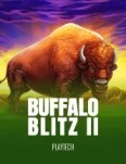 Buffalo Blitz 2