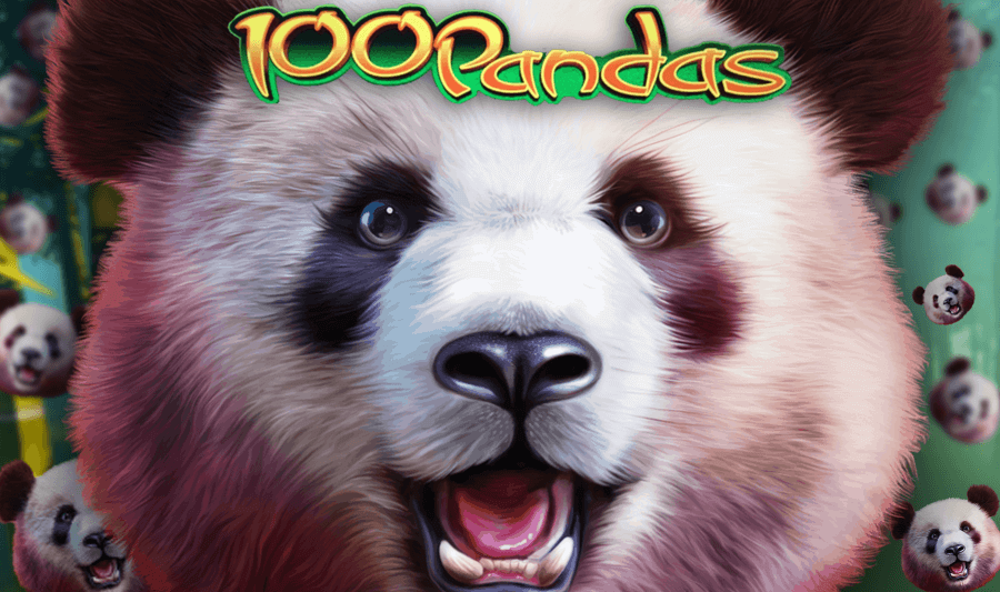 100 pandas slot