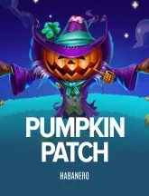 Pumpkin Patch
