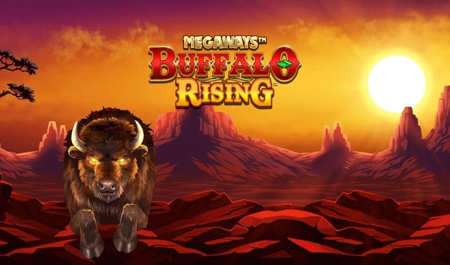 Buffalo Rising 