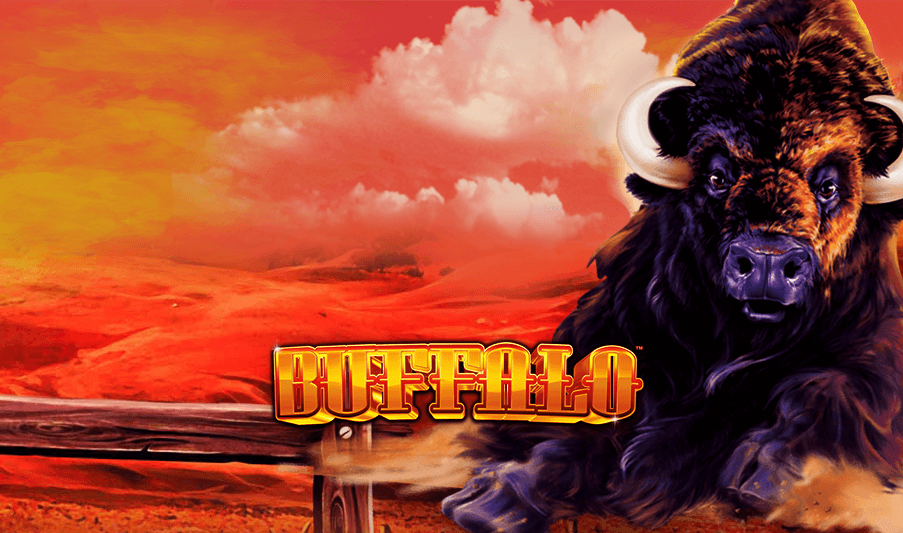 play buffalo casino game online