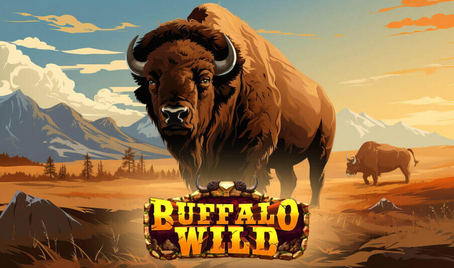 Buffalo Wild