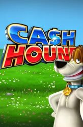 Cash Hound