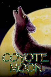 Coyote moon slot machine big winners