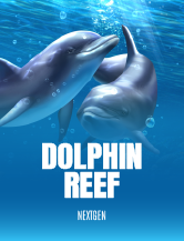 Dolphin Reef