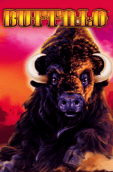 Buffalo Free Slots No Download