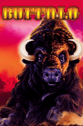 buffalo slot game