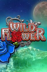 Wild Flower