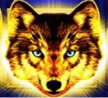 golden wolf symbol