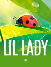 lil lady slot game