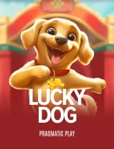 Lucky Dog