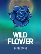 wild flower slot demo