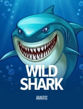 Wild Shark