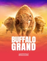 Buffalo Grand