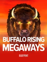Buffalo Rising 