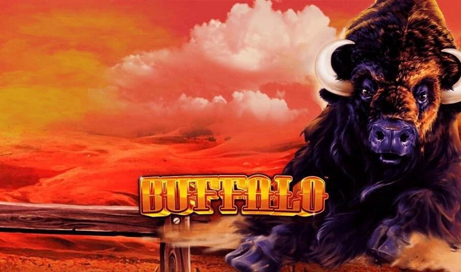 buffalo slot game