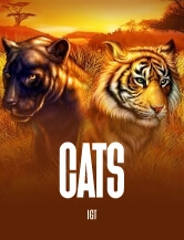 free slots cats