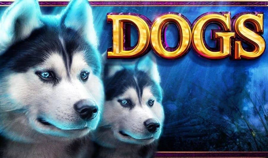 dog slots free play