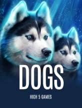 Dogs