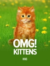 slot omg kittens online