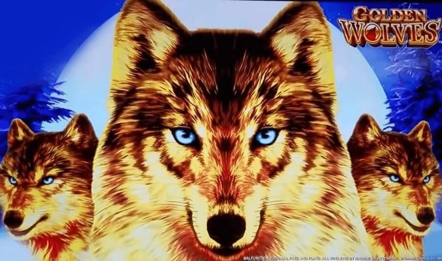 golden wolves slot machine