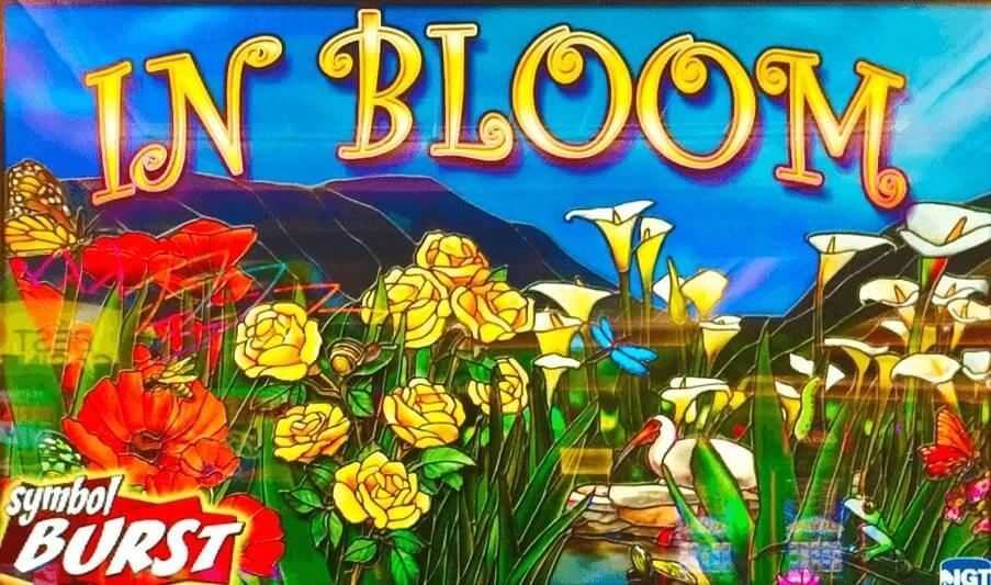in bloom slots free