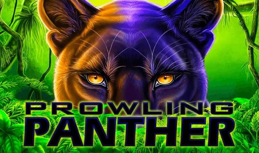prowling panther pokies