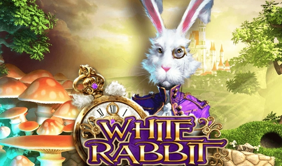 white rabbit free slot