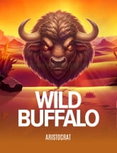 wild buffalo by aristocrat