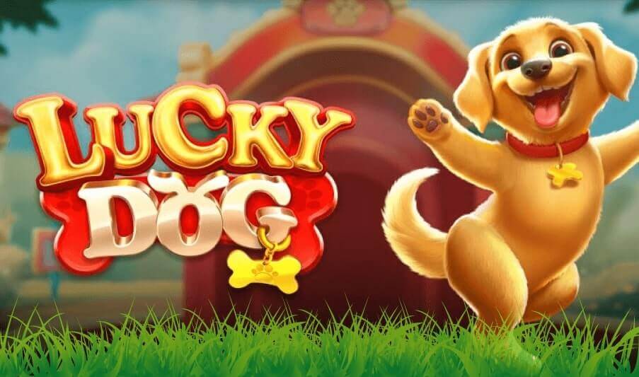 Lucky Dog