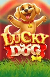 Lucky Dog