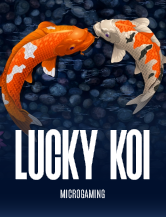 Lucky Koi