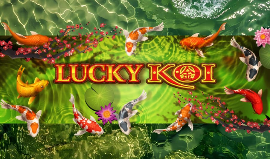 Lucky Koi