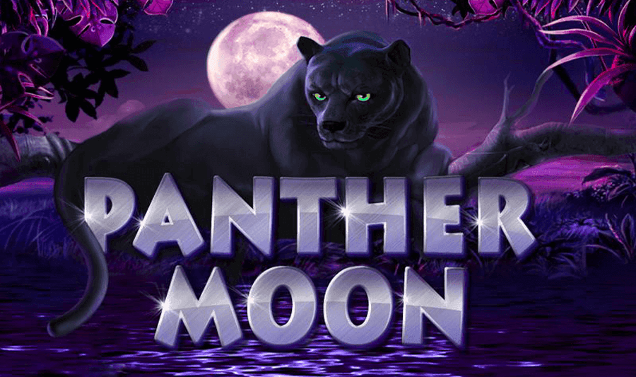 Panther Moon Slot Game: Play Novomatic Free Slot Machine Game