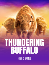 Thundering Buffalo