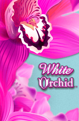 white orchid free