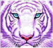 white tiger symbol