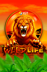 Igt Free Slots Wildlife