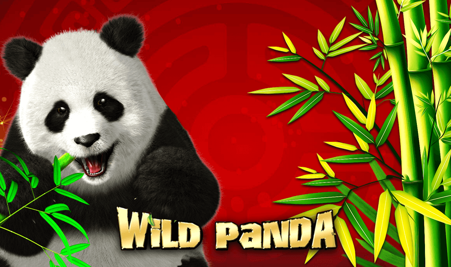 xtreme panda slot machine